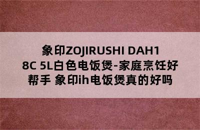 象印ZOJIRUSHI DAH18C 5L白色电饭煲-家庭烹饪好帮手 象印ih电饭煲真的好吗